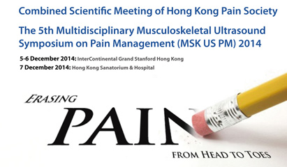Pain Scientific Meeting 2013